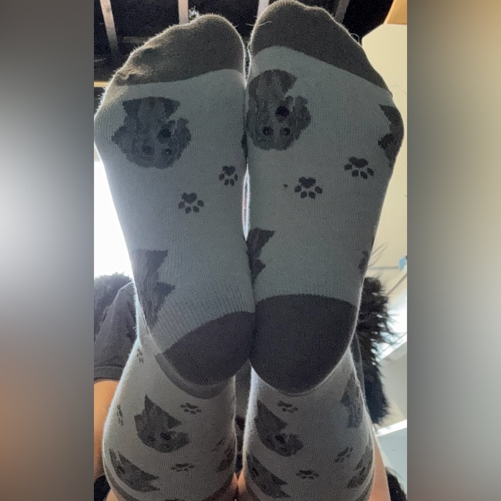 No Brand Men’s Weimaraner Brown and Cream Dress Socks Size 8-12 - Picture 3 of 3